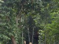 Tn DSC 4309